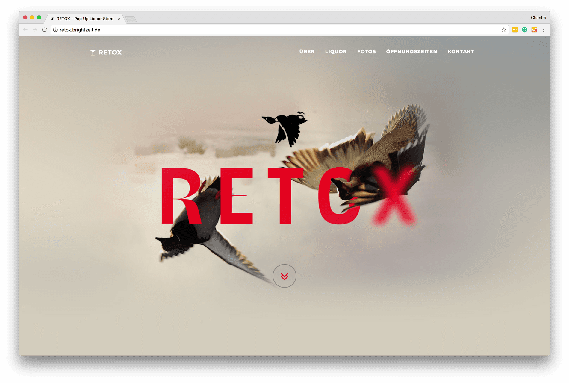 Retox Website- Beatrice Display